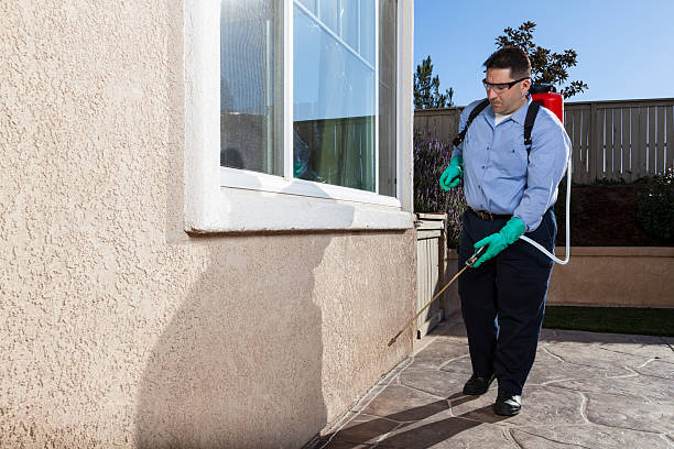 Best Pest Exclusion Services  in Mikes, TX